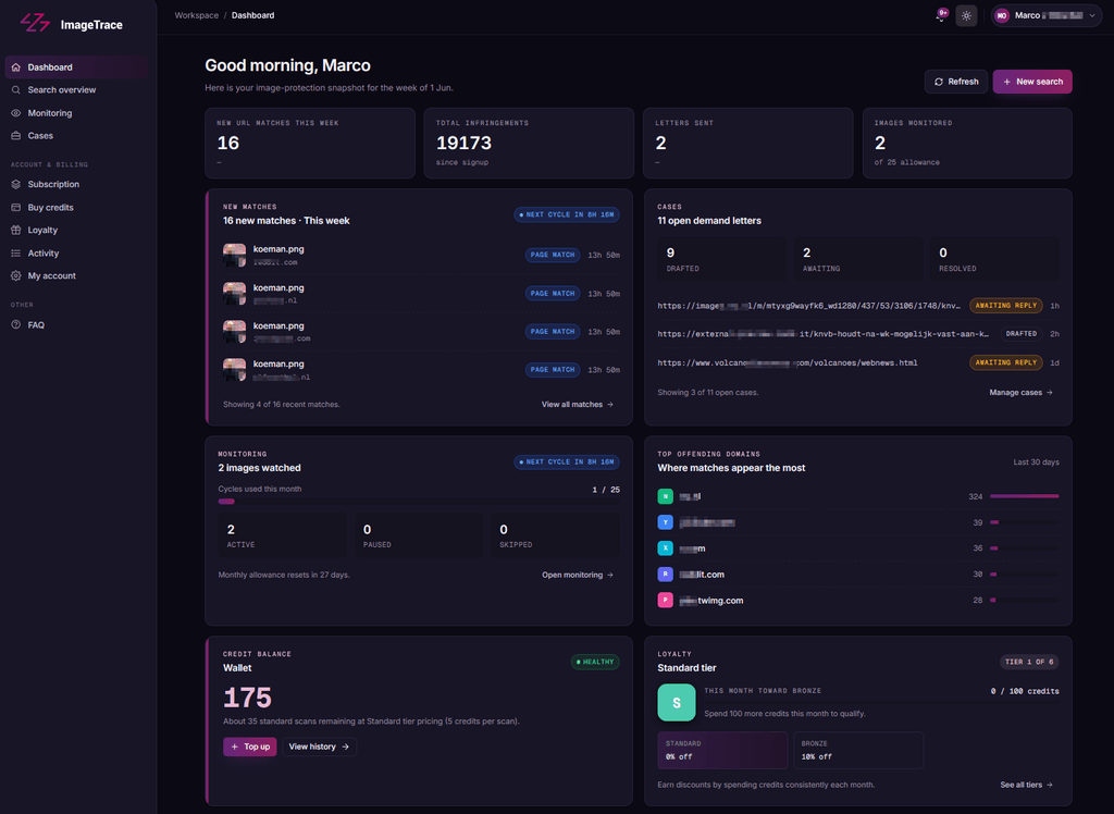 The ImageTrace dashboard showing detected matches and evidence.